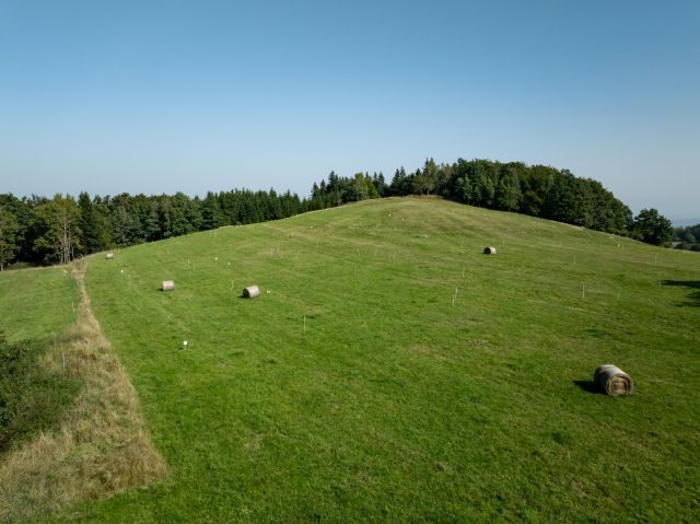 Działka rekreacyjna Pastewnik. Zdjęcie 13