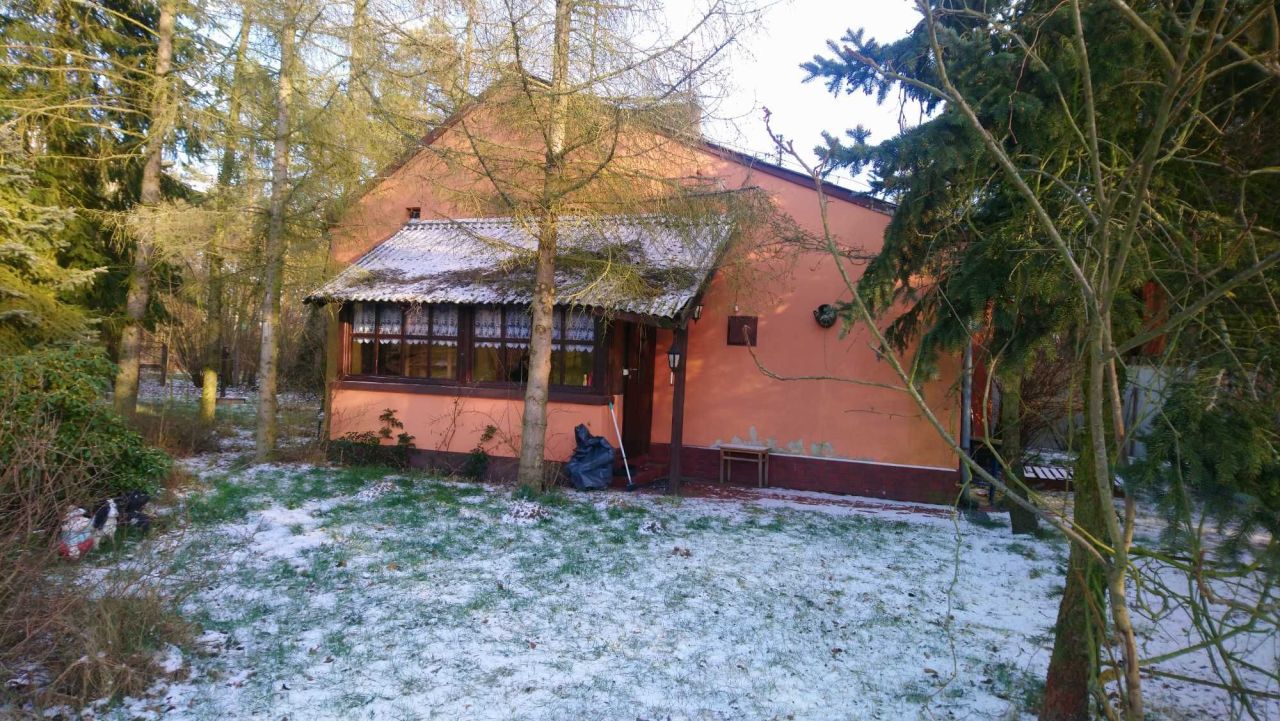 bliźniak Dziewiń Duży. Zdjęcie 4