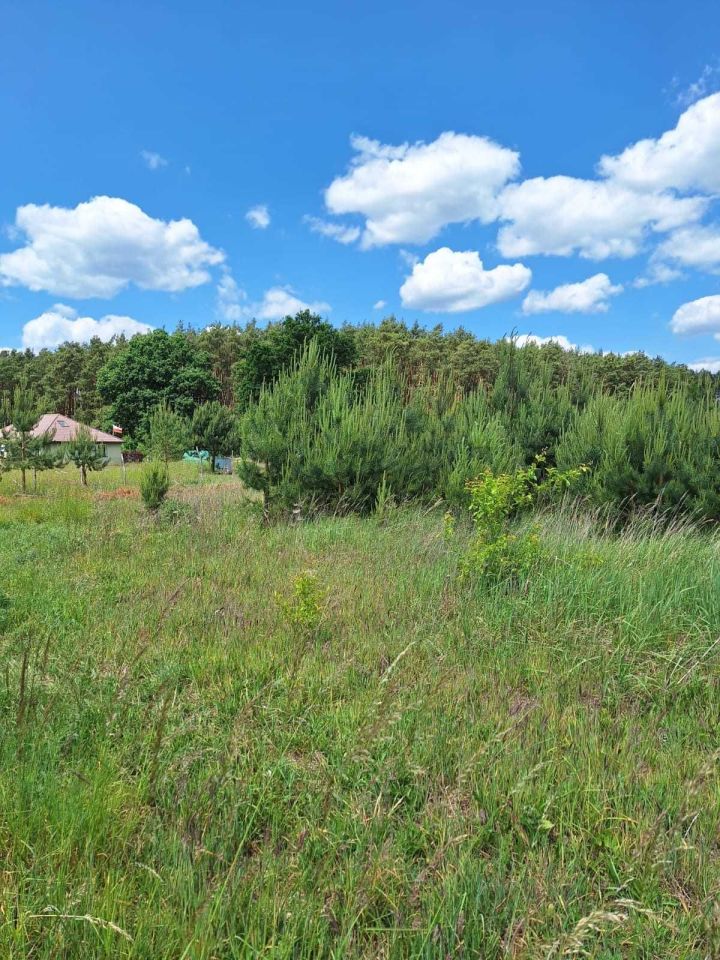 Działka rolno-budowlana Garbicz. Zdjęcie 3