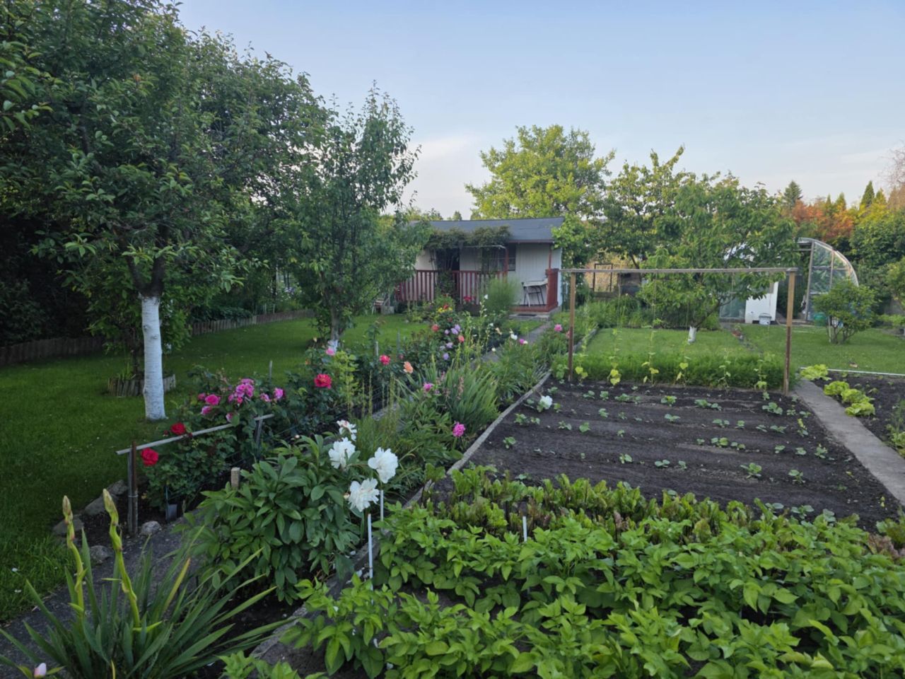 Działka rod Kołobrzeg, ul. Bolesława Krzywoustego. Zdjęcie 5