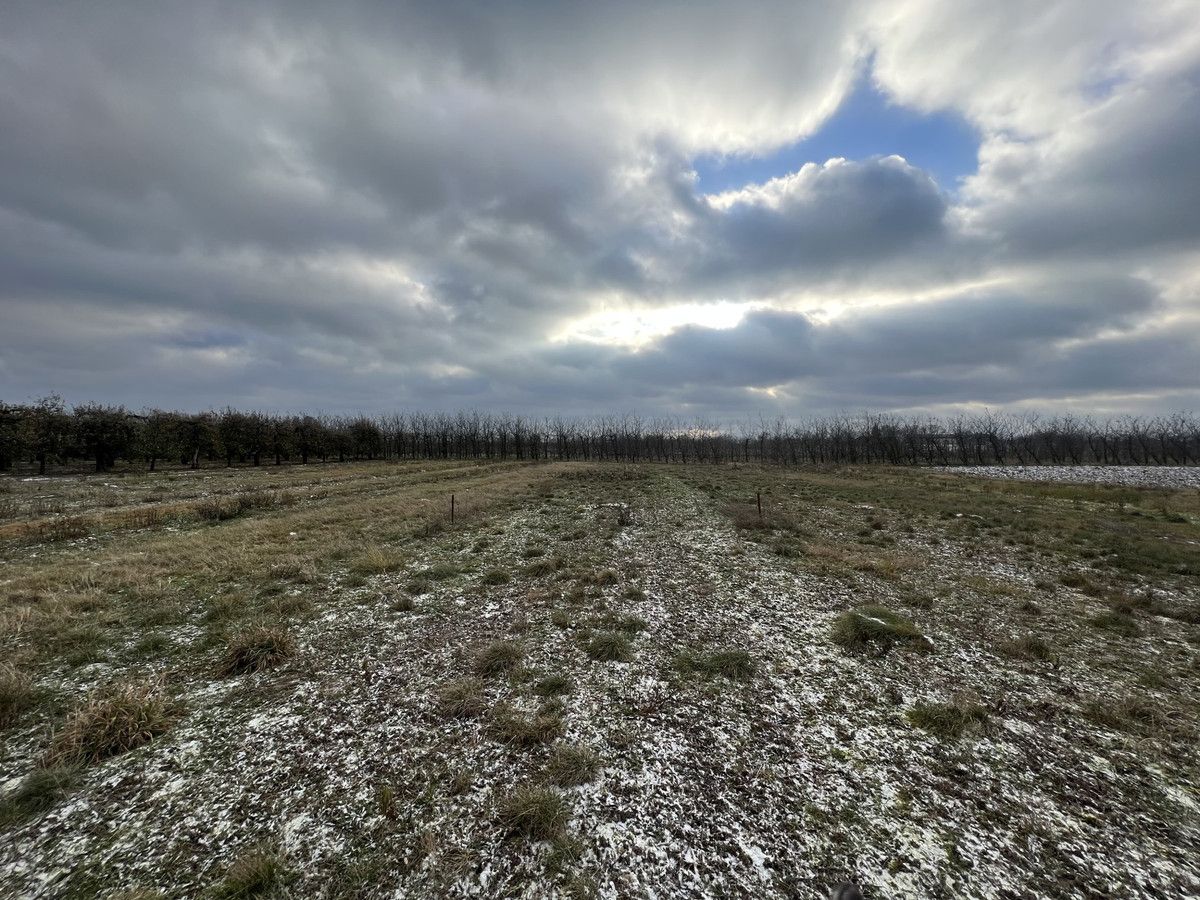 Działka rolna Glinki. Zdjęcie 4