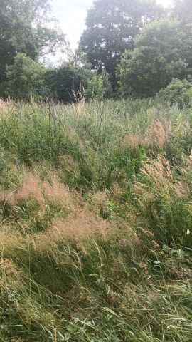 Działka budowlana Stara Kopernia. Zdjęcie 1