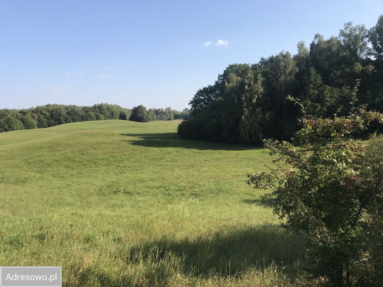 dom wolnostojący Miejska Wola. Zdjęcie 18