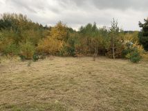 Działka budowlana Cychry. Zdjęcie 1