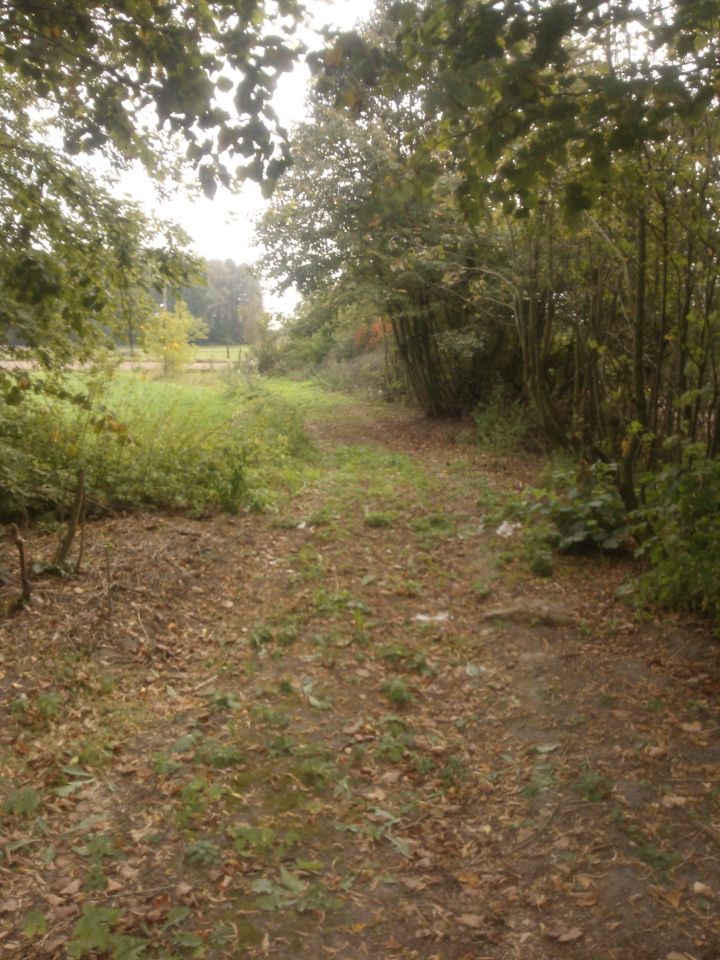 Działka siedliskowa Kosiorki. Zdjęcie 3