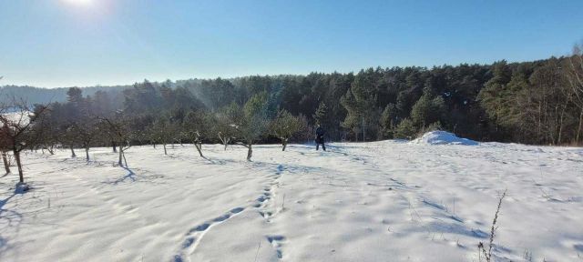 Działka budowlana Kazimierz Dolny Dąbrówka. Zdjęcie 1