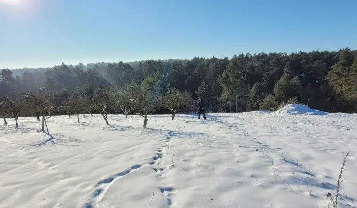 Działka budowlana Kazimierz Dolny Dąbrówka