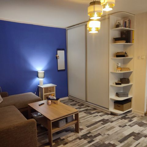 Mieszkanie 1-pokojowe Wągrowiec, ul. Mickiewicza. Zdjęcie 1