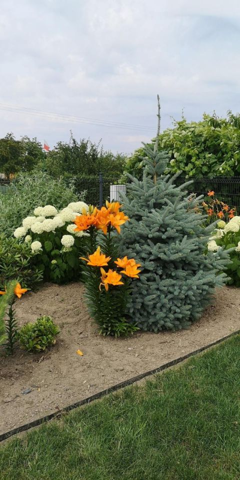 Działka rekreacyjna Wawrów. Zdjęcie 8