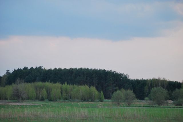 Działka budowlana Cyganka, ul. Szkolna. Zdjęcie 5