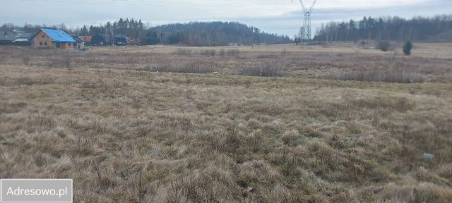 Działka budowlana Jelenia Góra Czarne. Zdjęcie 1