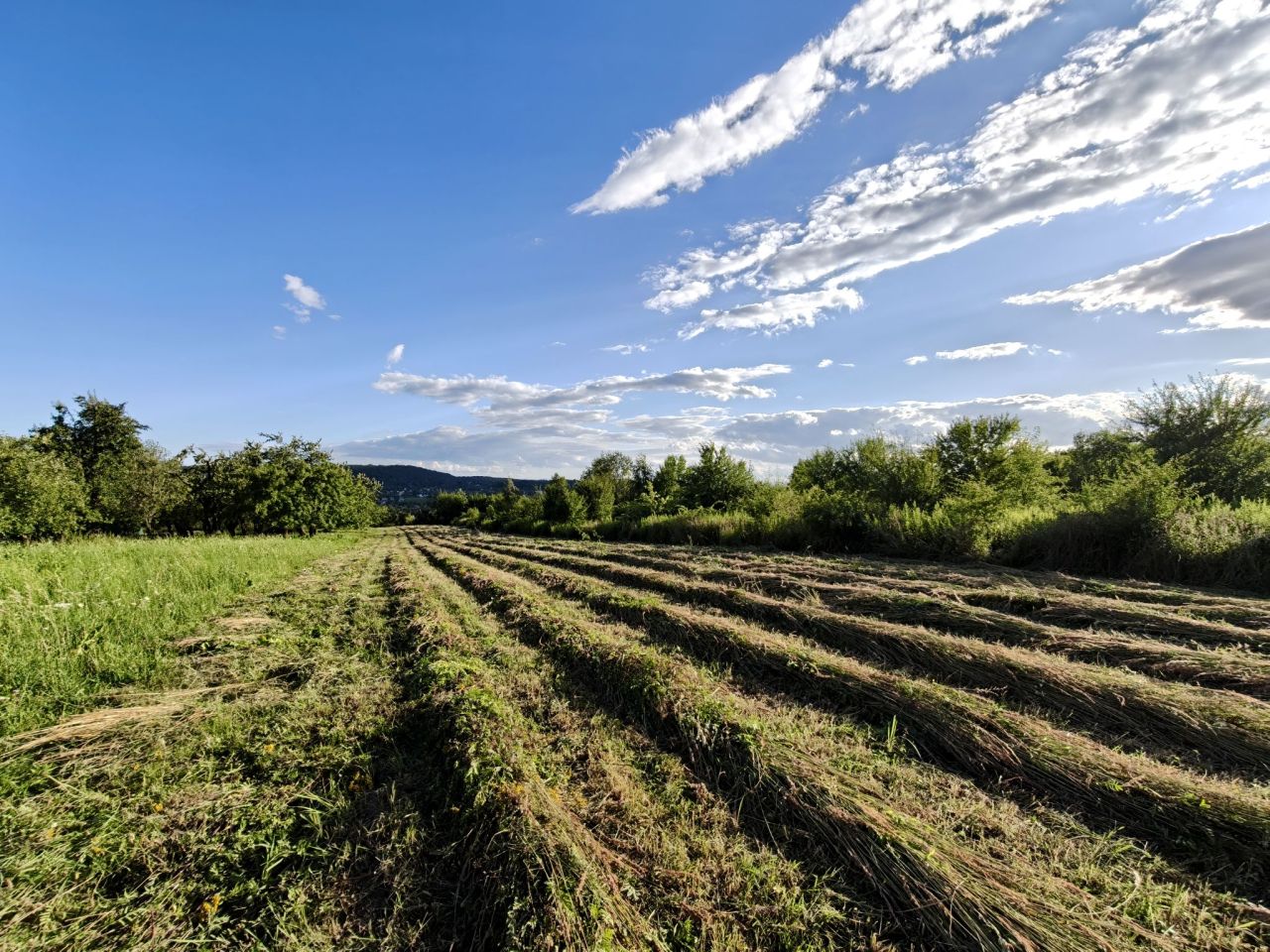 Działka rolna Kraków Mydlniki, ul. mjr. Łupaszki. Zdjęcie 7