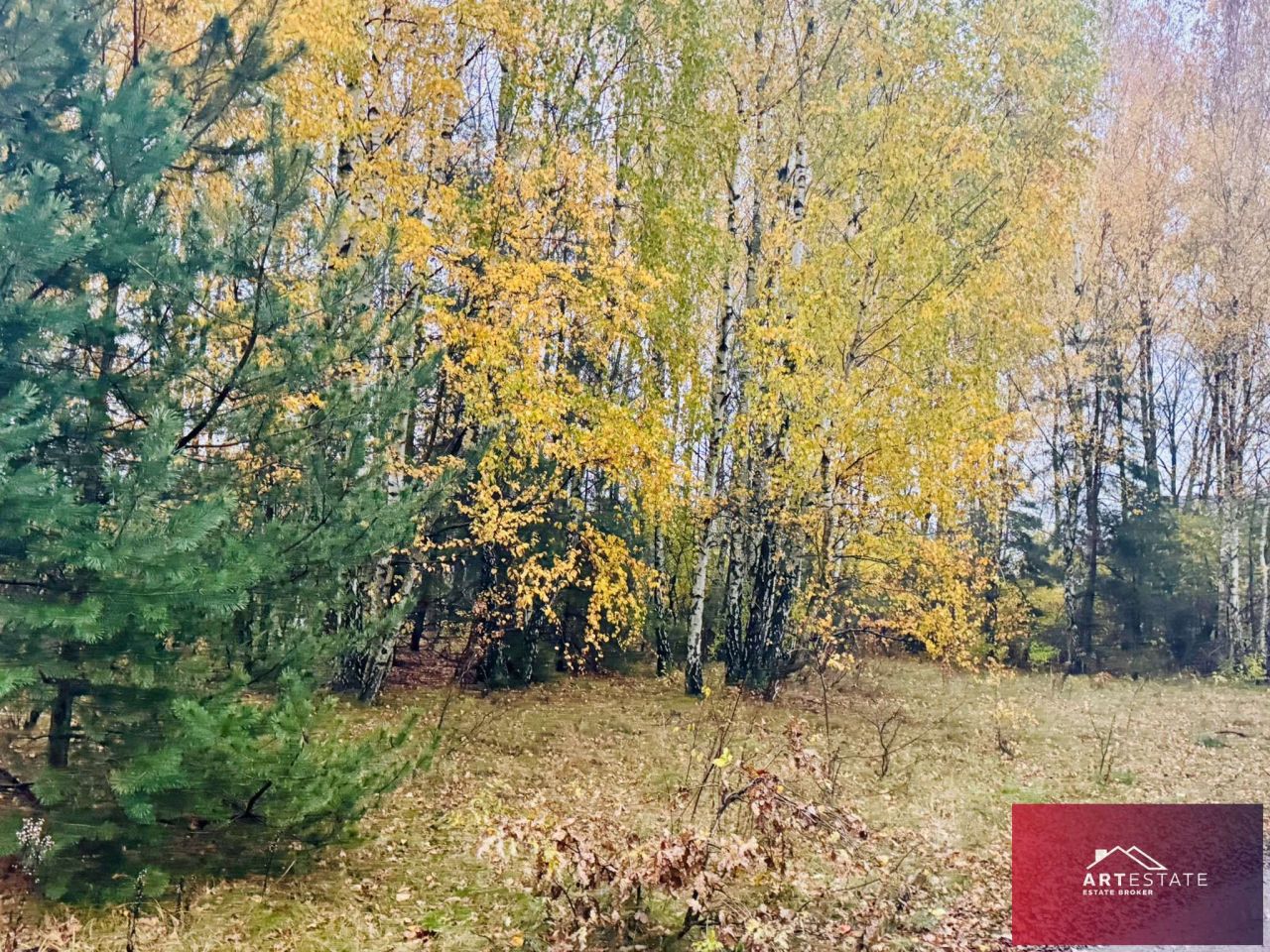 Działka budowlana Słowak. Zdjęcie 11