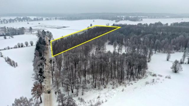 Działka leśna Harsz. Zdjęcie 2