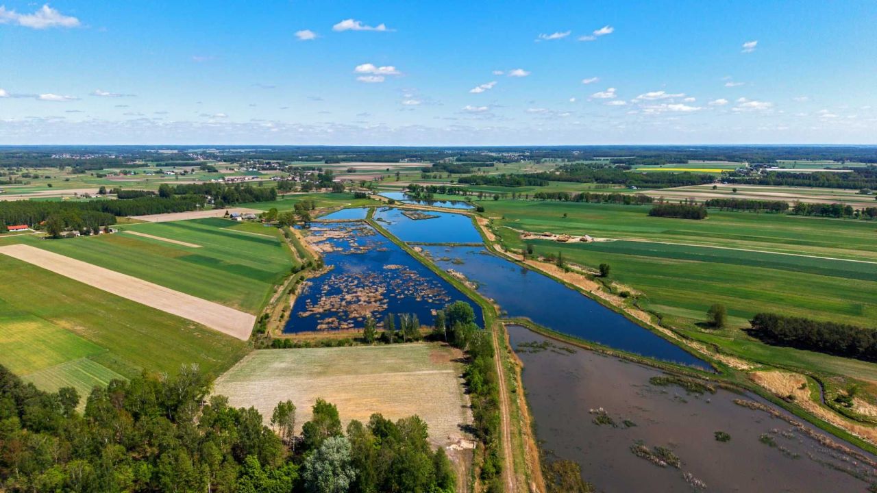 Działka rolno-budowlana Głupianka. Zdjęcie 5