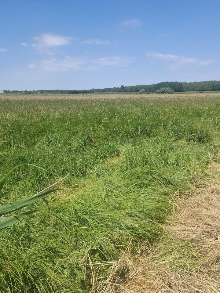 Działka rolna Piasek Wielki, Piasek. Zdjęcie 7