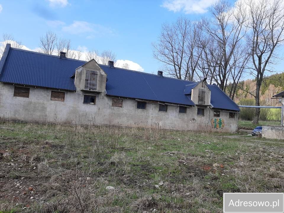 Hala/magazyn Strachocin. Zdjęcie 4