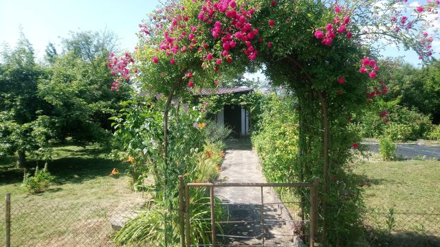 Działka rekreacyjna Kędzierzyn-Koźle Koźle, ul. Bolesława Chrobrego. Zdjęcie 1