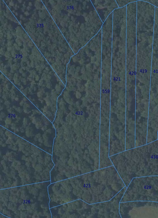 Działka leśna Cichawka. Zdjęcie 6