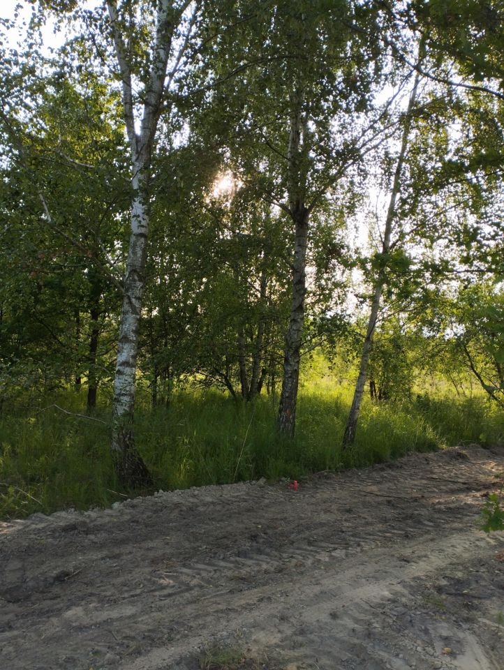 Działka budowlana Bieganów, ul. Dzika. Zdjęcie 4