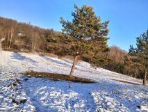 Działka budowlana Grabownica Starzeńska. Zdjęcie 1