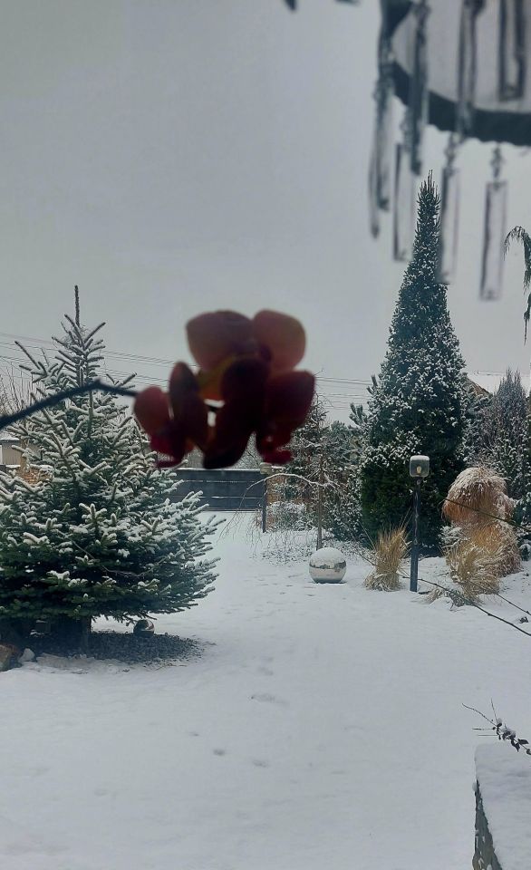 dom wolnostojący, 5 pokoi Konstantynów Łódzki Niesięcin, Niesiecin. Zdjęcie 11