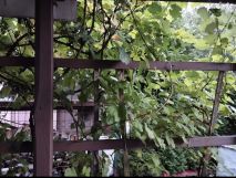 Działka rod Szczecinek, ul. Słupska. Zdjęcie 2