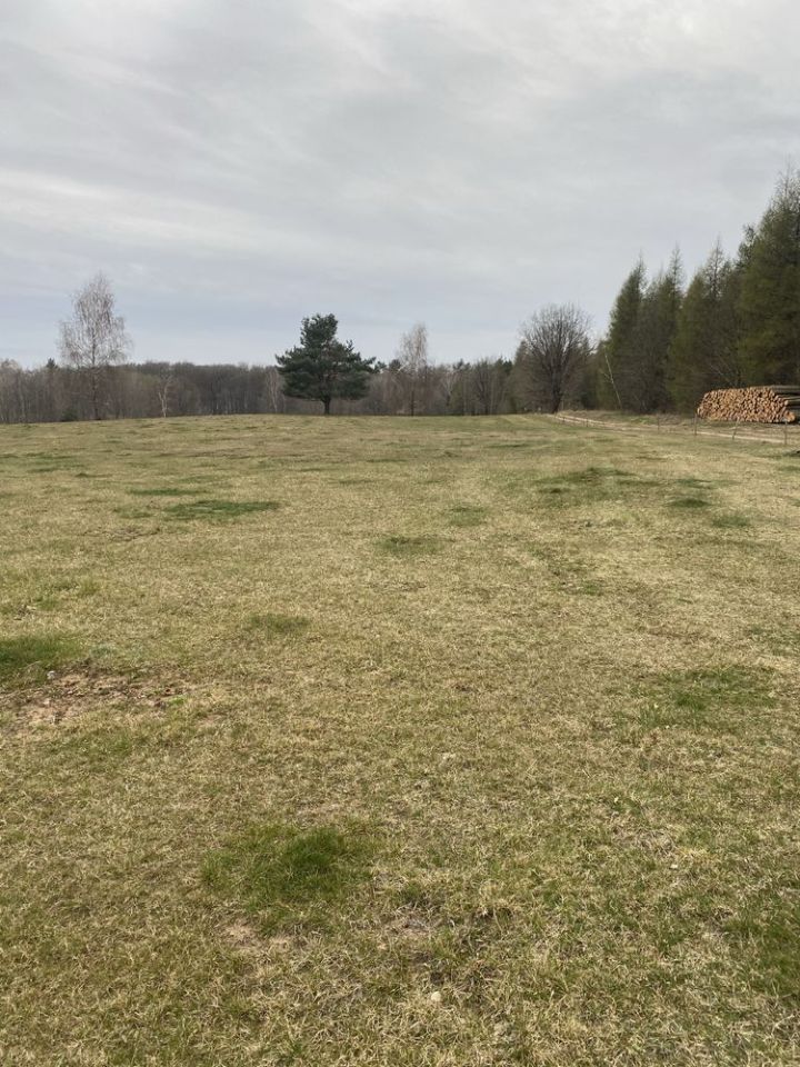 Działka rolno-budowlana Zagozd. Zdjęcie 5