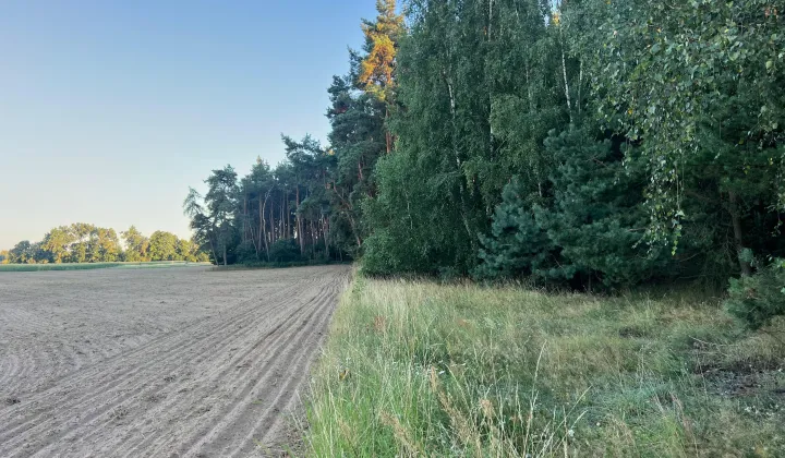 Działka budowlana Drwęsa, ul. Brzozowa