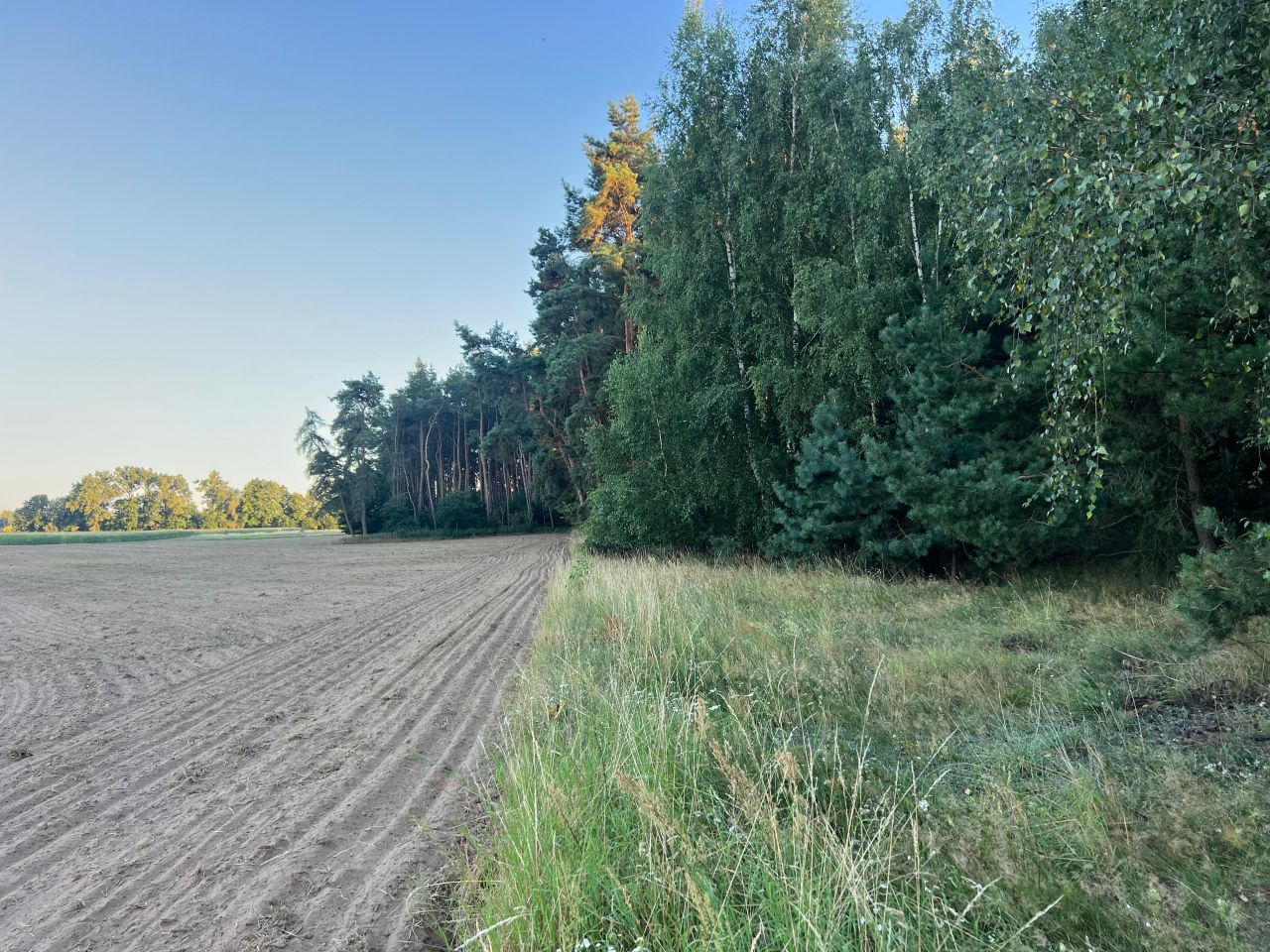 Działka budowlana Drwęsa, ul. Brzozowa. Zdjęcie 1