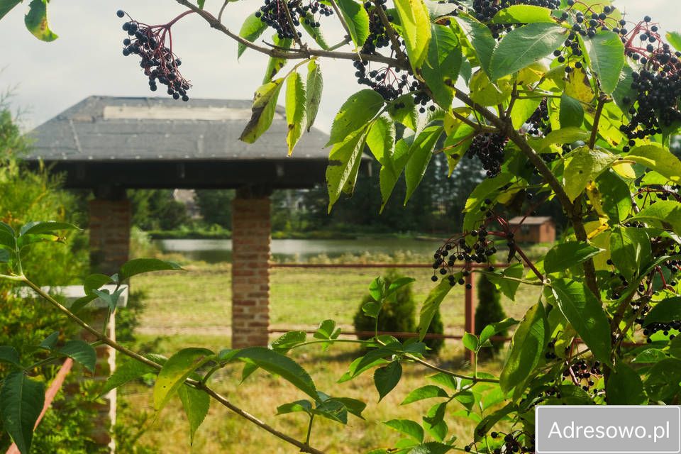 Działka siedliskowa Wyłudzin. Zdjęcie 11