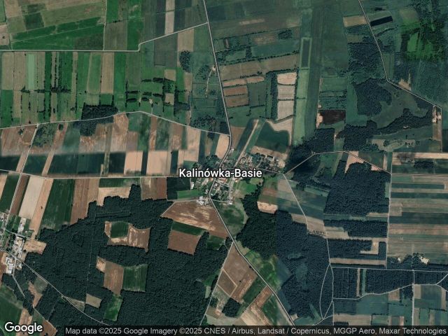 Działka rolna Kalinówka-Basie. Zdjęcie 1