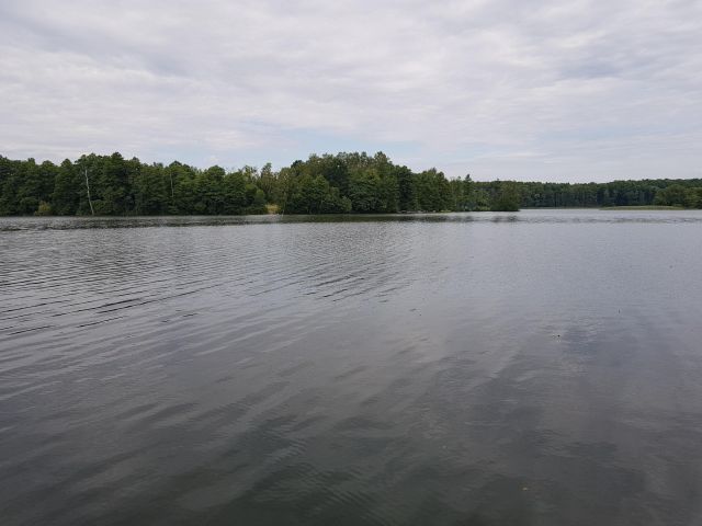 dom wolnostojący, 7 pokoi Strączno. Zdjęcie 15