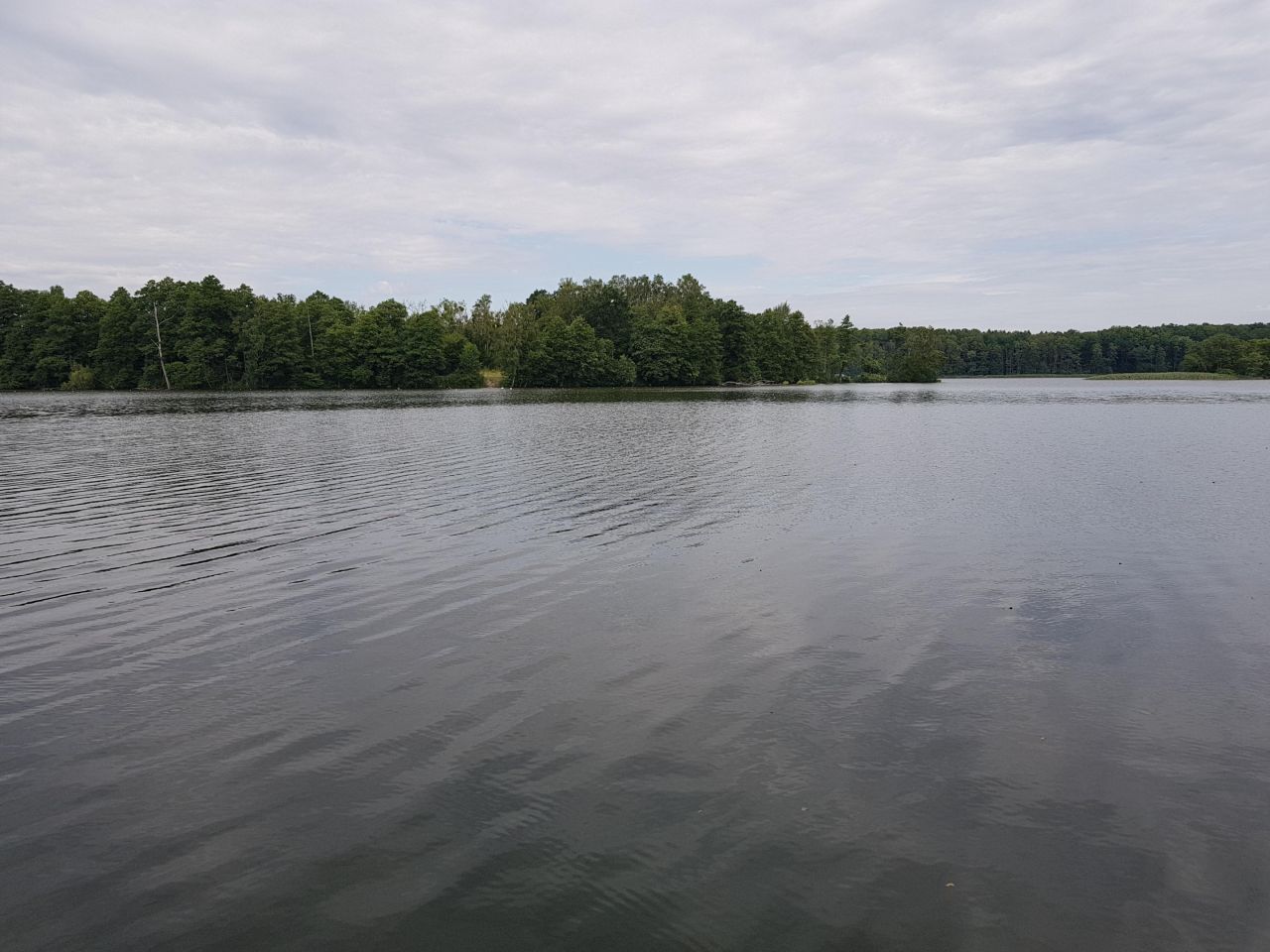 dom wolnostojący, 7 pokoi Strączno. Zdjęcie 15