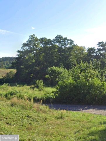 Działka rolno-budowlana Torzym. Zdjęcie 1