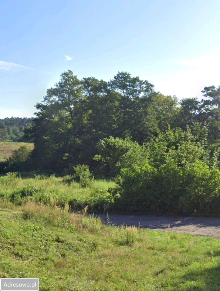 Działka rolno-budowlana Torzym