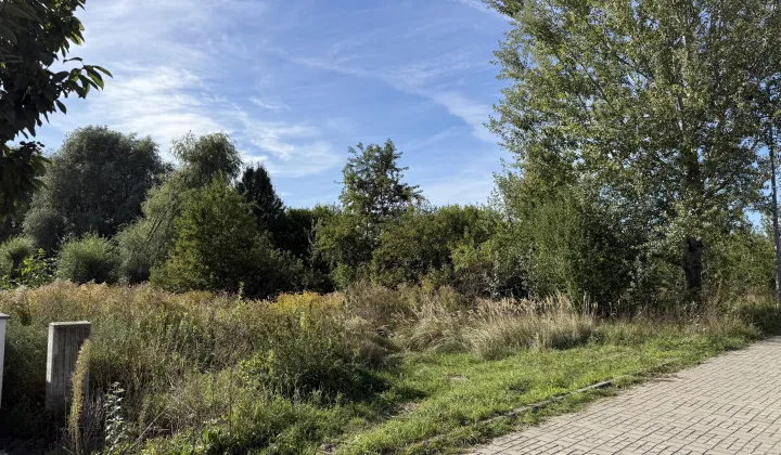 Działka budowlana Chyby, ul. Kokosowa