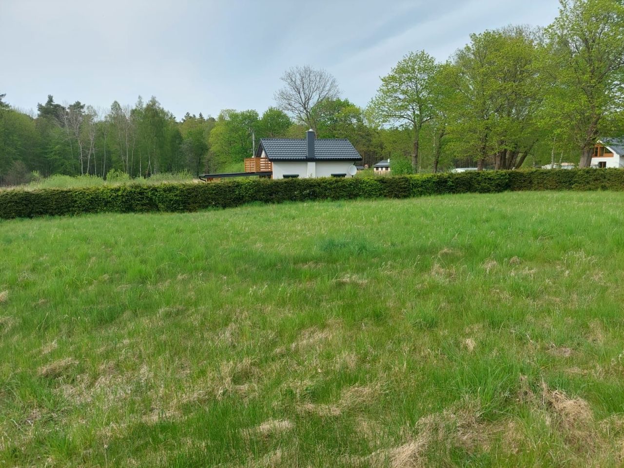 Działka rolna Gostyniec. Zdjęcie 3