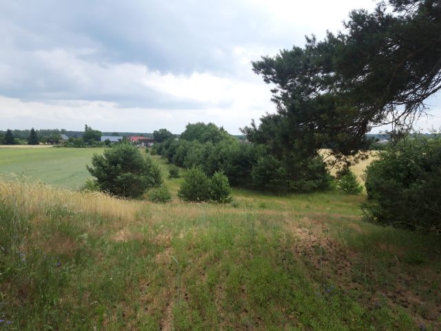 Działka budowlana Świerczyna. Zdjęcie 1