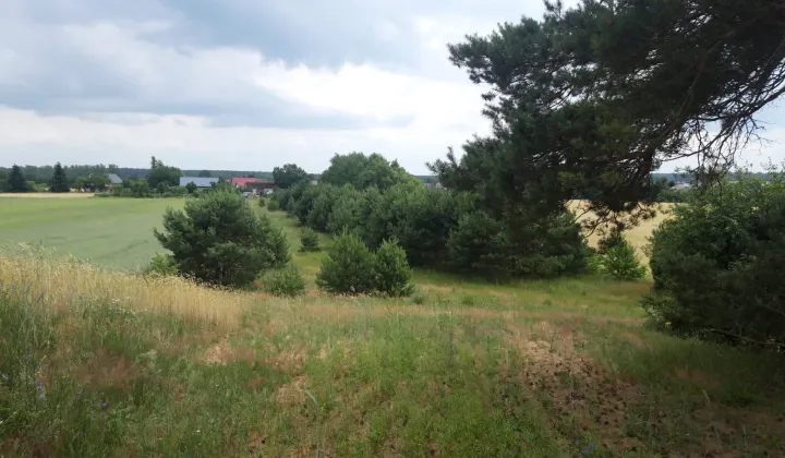 Działka budowlana Świerczyna