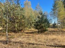 Działka budowlana Żabieniec. Zdjęcie 1