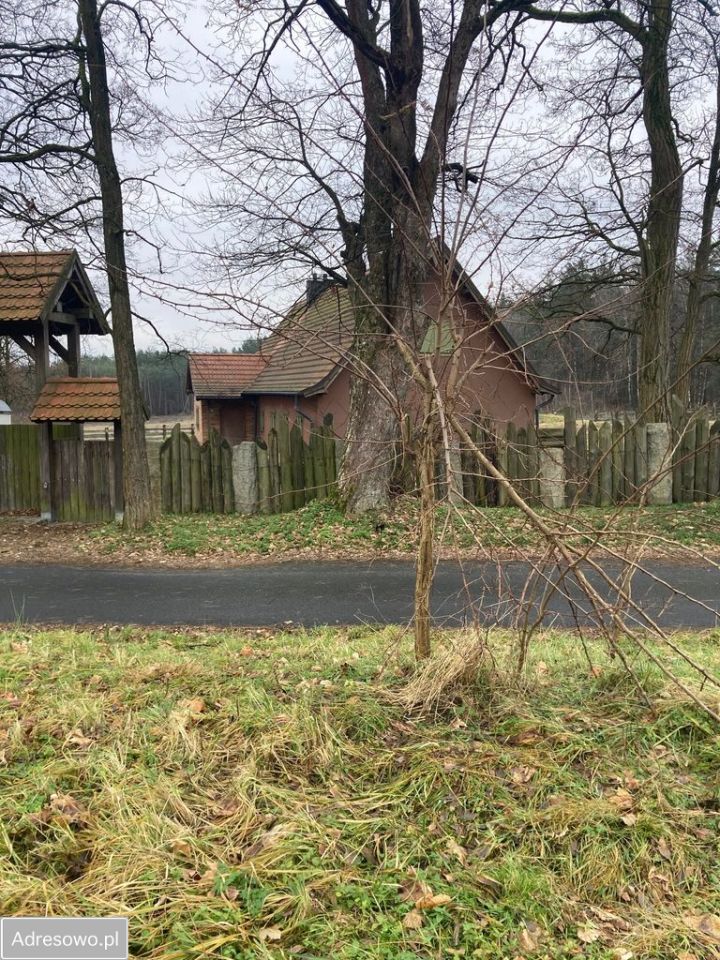 Działka rolna Gola Wielka. Zdjęcie 2