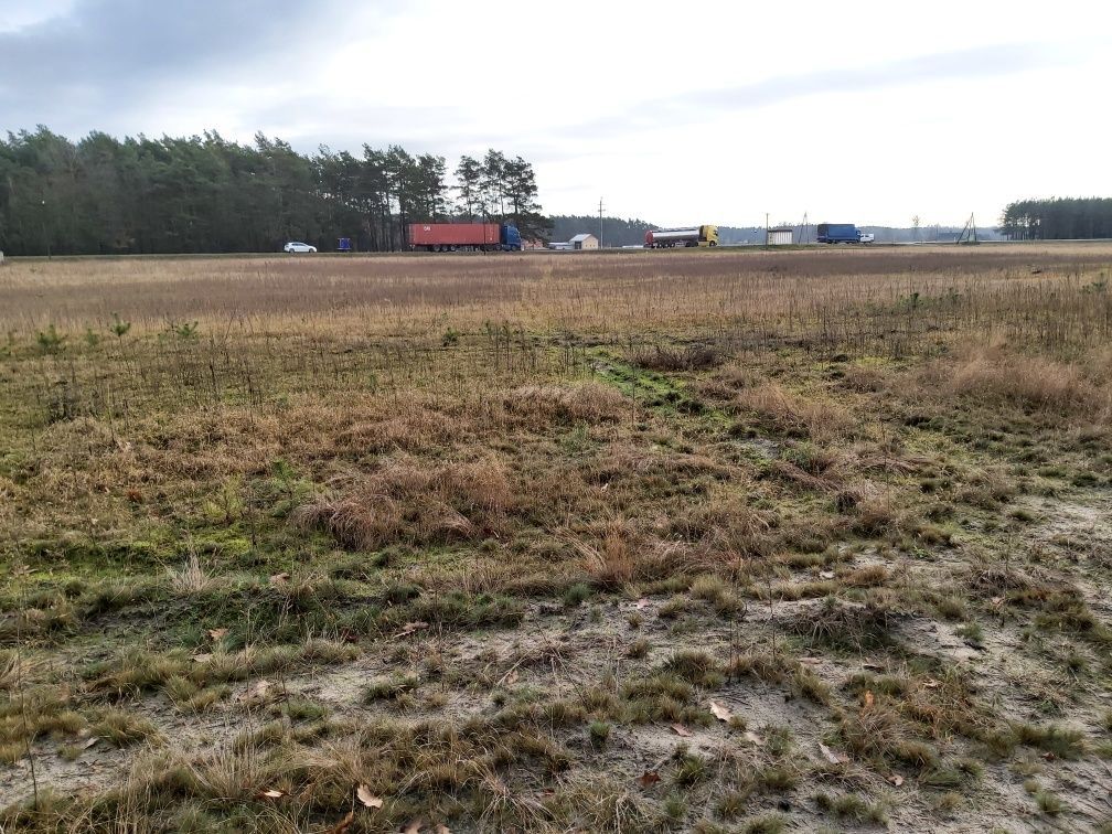 Działka rolno-budowlana Nowe Prażuchy. Zdjęcie 2