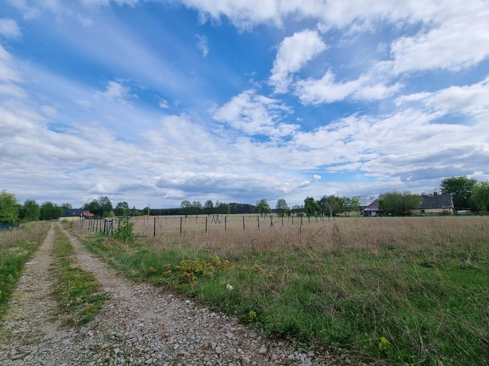 Działka rolna Nekla, ul. Kotomierska. Zdjęcie 7
