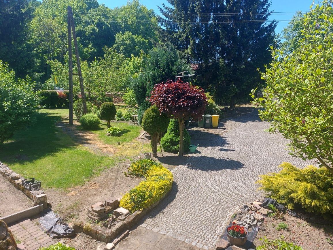 dom wolnostojący, 4 pokoje Jerzmanice-Zdrój. Zdjęcie 3