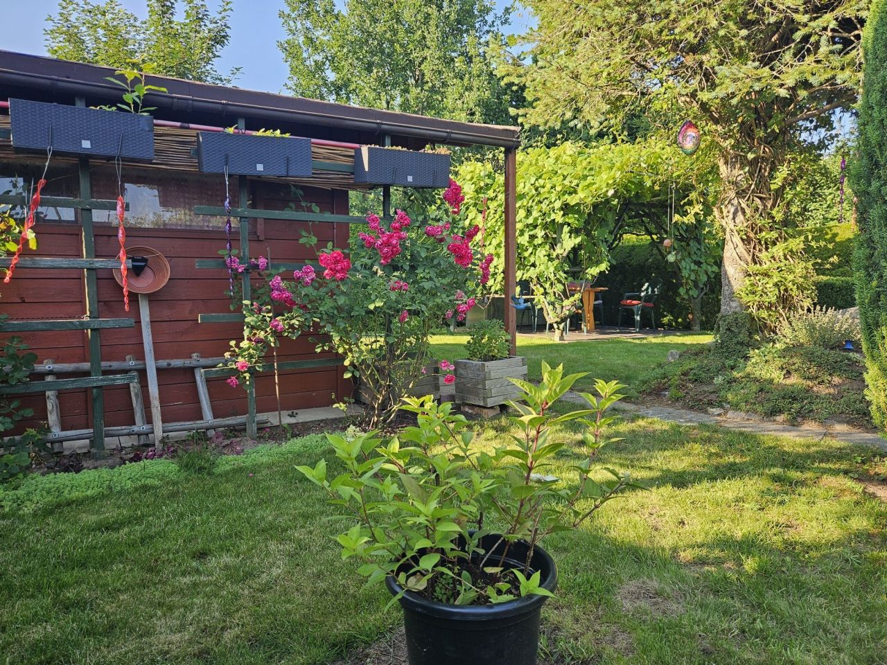 Działka rod Słupsk, ul. Gdańska. Zdjęcie 8