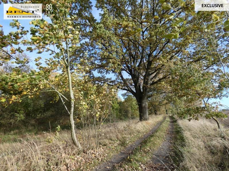 Działka siedliskowa Danowo. Zdjęcie 9