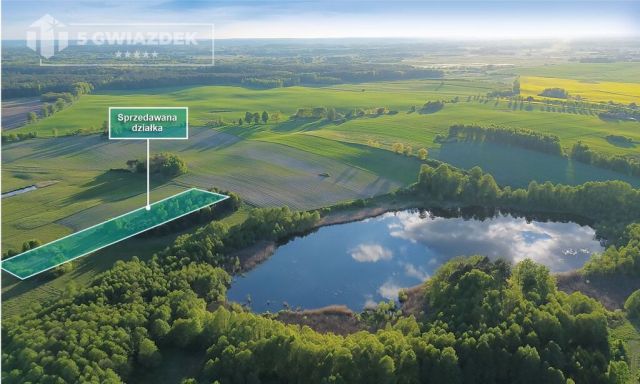 Działka budowlana Dziki. Zdjęcie 3