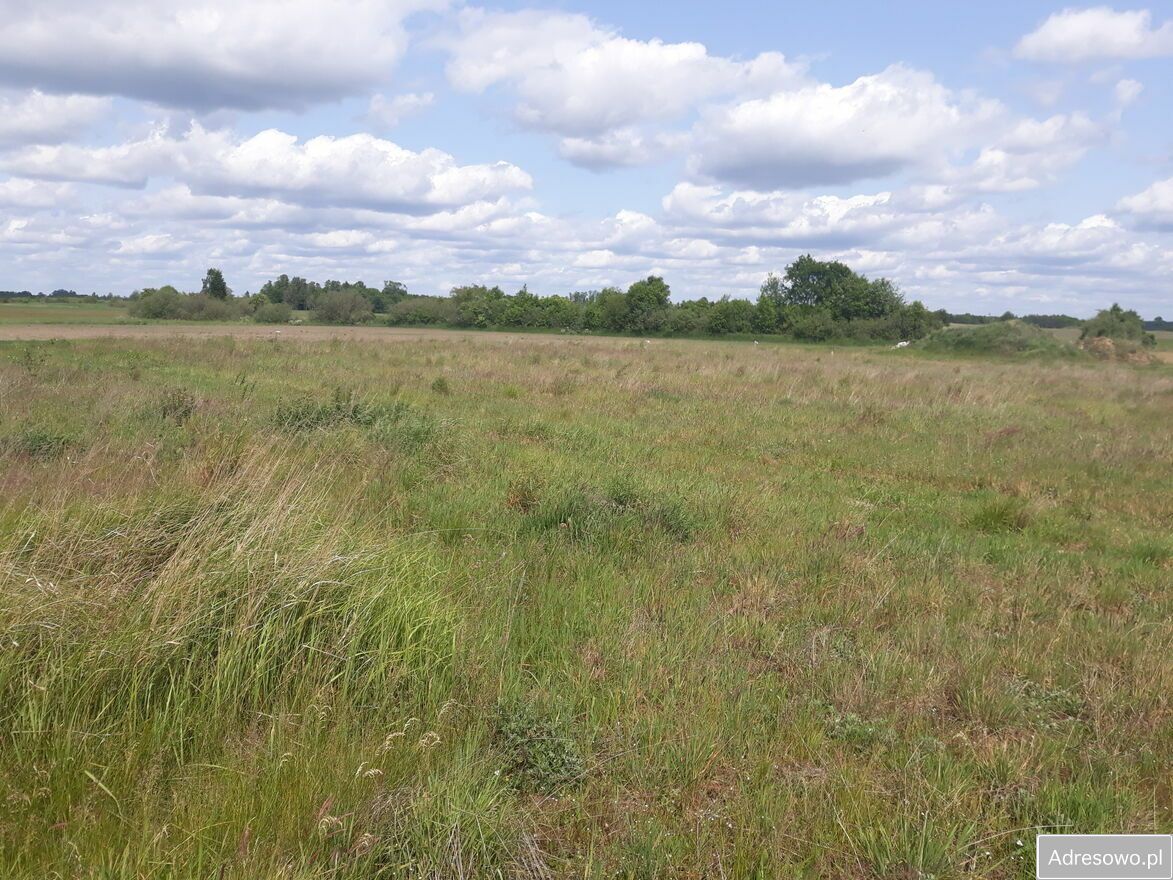 Działka budowlana Kęsowo. Zdjęcie 14
