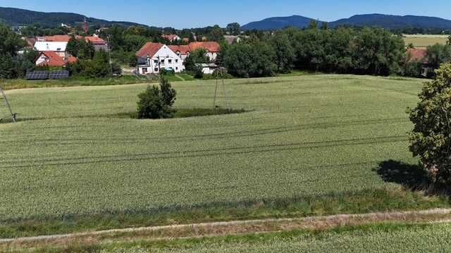 Działka rolna Tuszyn. Zdjęcie 5